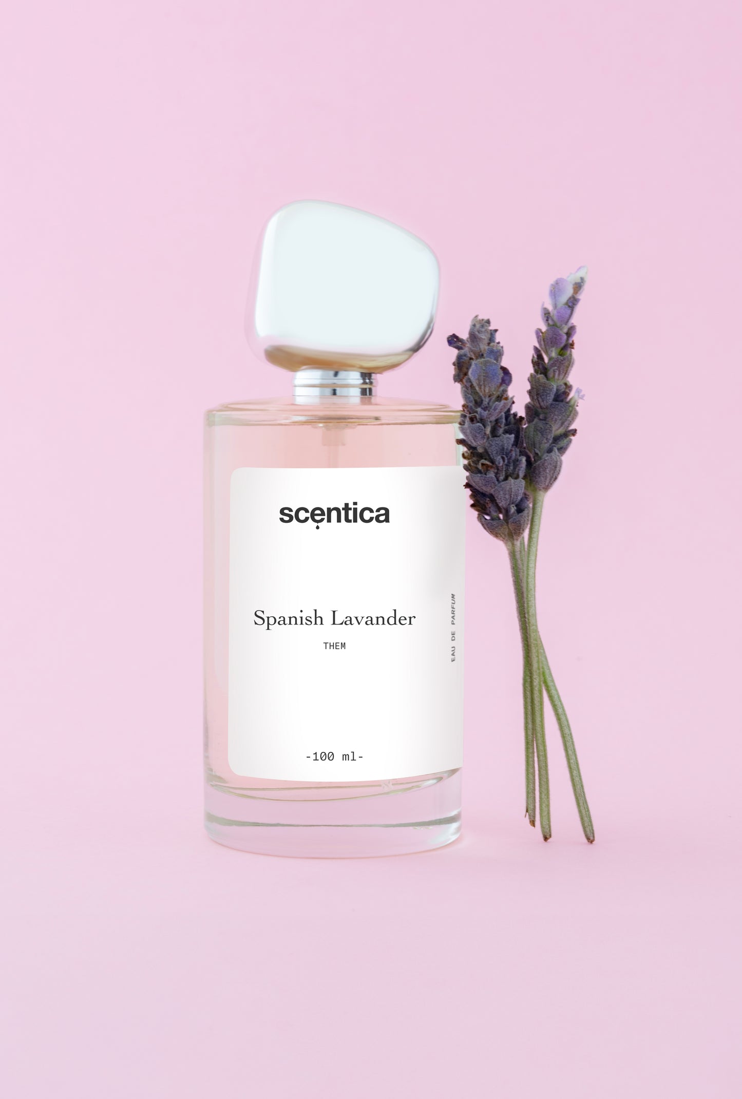 Spanish Lavander - Inspirado en Lavande 31 de Le Labo